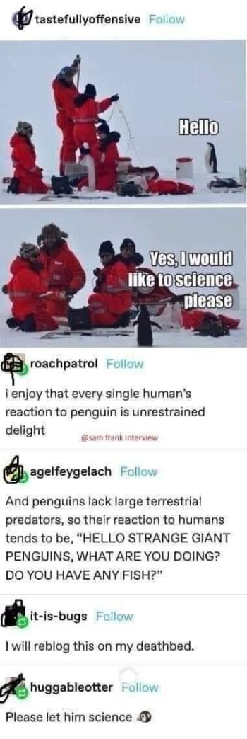 1759422112371.jpeg