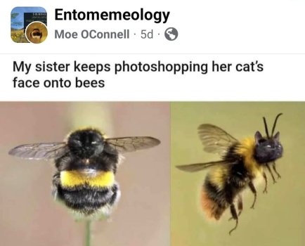 1759422889386.jpeg