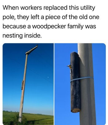 1759434510739.jpeg