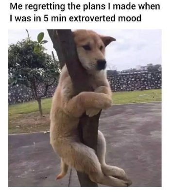 1759530222610.jpeg