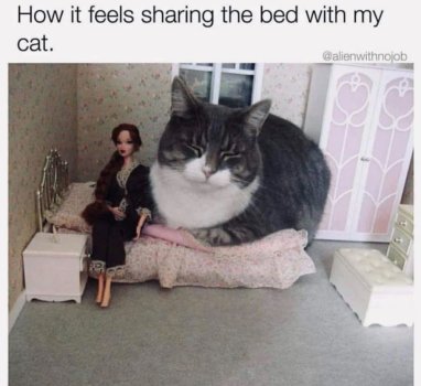 1759530645973.jpeg
