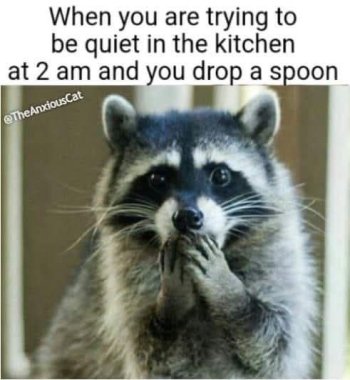 1759621705491.jpeg