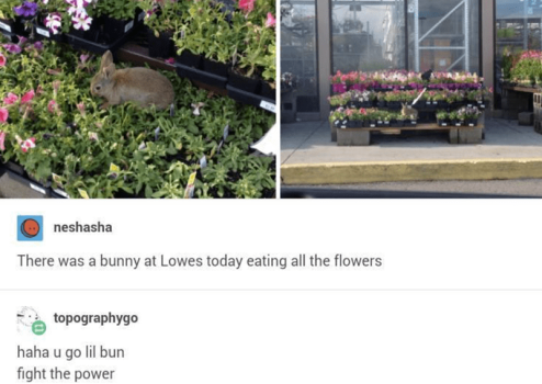 1759632461117.png