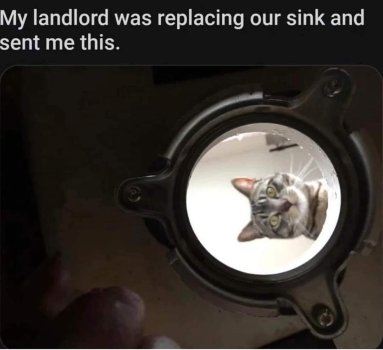 1759759995337.jpeg