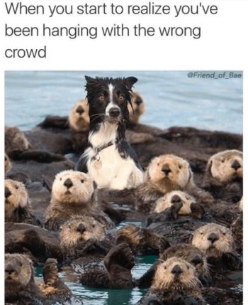 1759761185414.jpeg