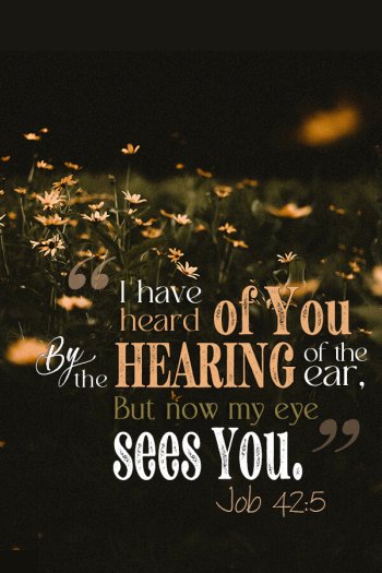 SPIRITUAL VISION