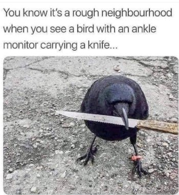 1759865720302.jpeg