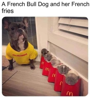1759878772569.jpeg