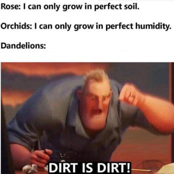 1759882488904.jpeg