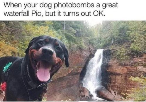 1759882601417.jpeg
