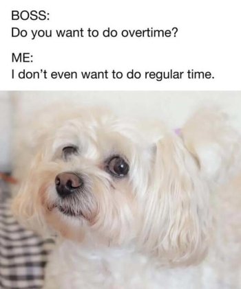 1759882689120.jpeg