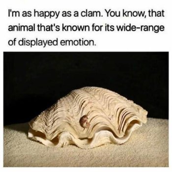 1759882953159.jpeg