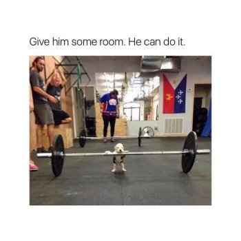 1759922197566.jpeg