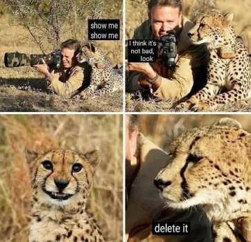 1759922300502.jpeg