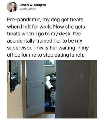 1759922460955.jpeg
