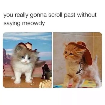 1759972217879.jpeg