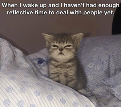 1759994249971.png