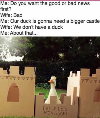 1760014313461.jpeg