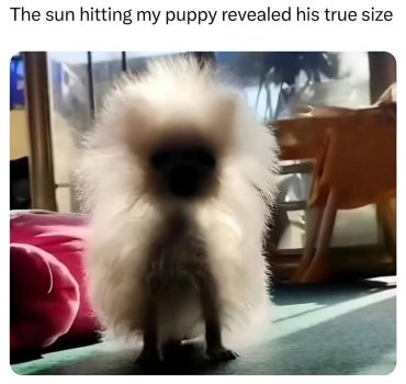 1760217991562.jpeg