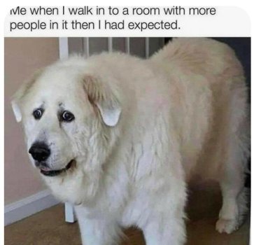 1760218625691.jpeg