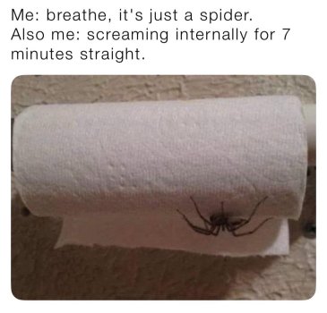 1760220199996.jpeg