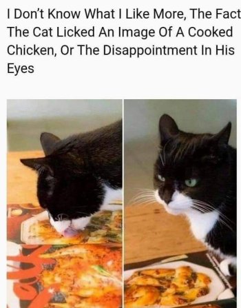 1760221797816.jpeg