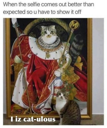 1760380233247.jpeg