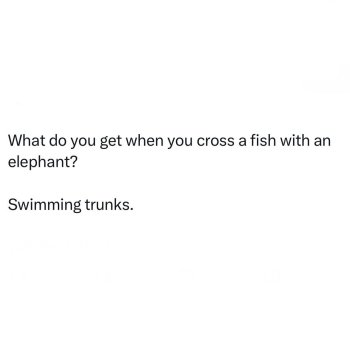 1760406073971.jpeg