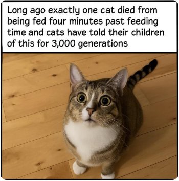 1760452602421.jpeg