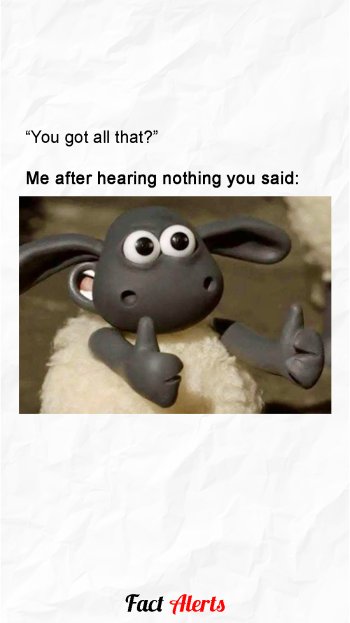 1760503459219.jpeg