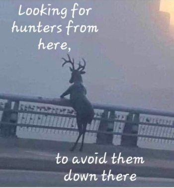 1760731969002.jpeg