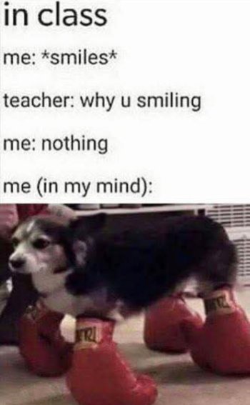 1760745058247.jpeg