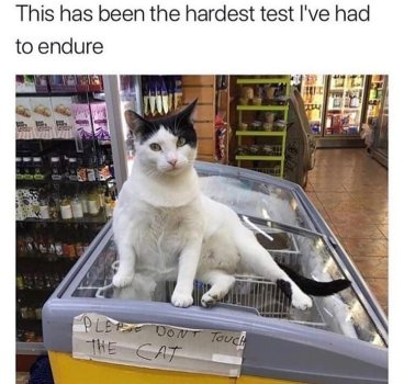 1760747549839.jpeg