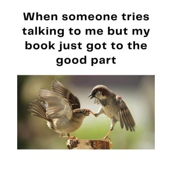 1760809769181.jpeg