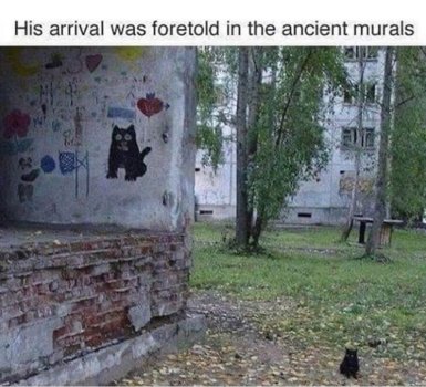 1760810073425.jpeg