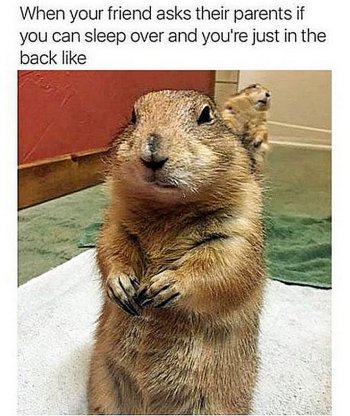 1760893634100.jpeg