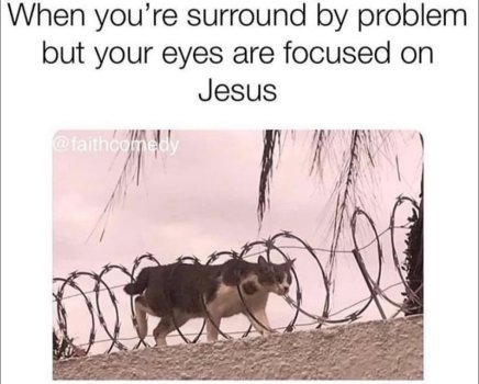 1760901156037.jpeg