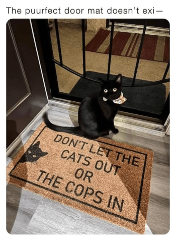 1760944164182.png
