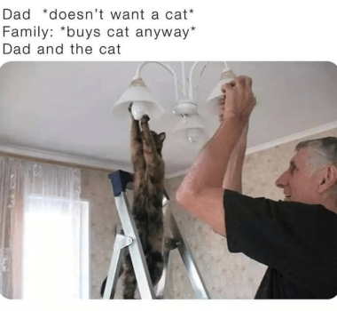 1760944358193.png
