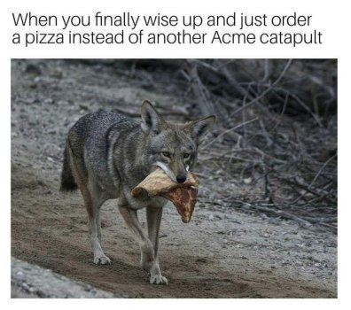 1761084620359.jpeg