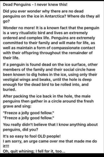 1761149526380.jpeg