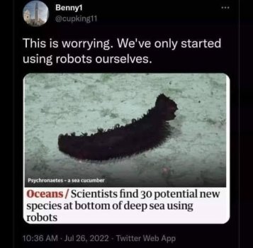 1761150000389.jpeg