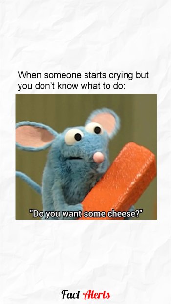 1761190273793.jpeg