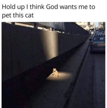 1761303729722.png