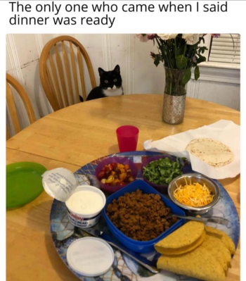 1761303894243.png