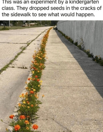 1761304281328.png