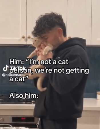 1761375219929.png