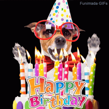 1761605284399.gif 1761605284399.gif