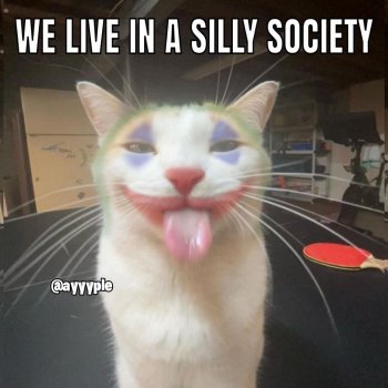 1761775128008.jpeg