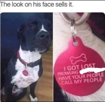 1761782022284.jpeg